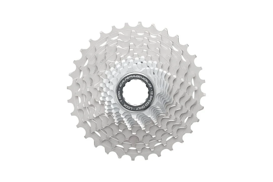 condorcycles306862