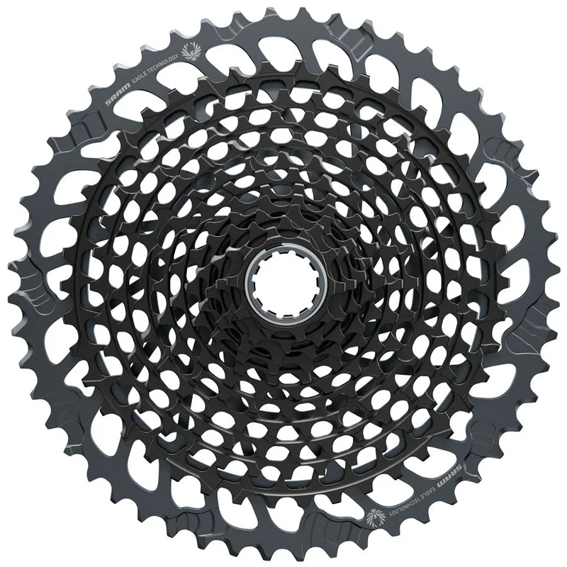 ridebicycles2226378