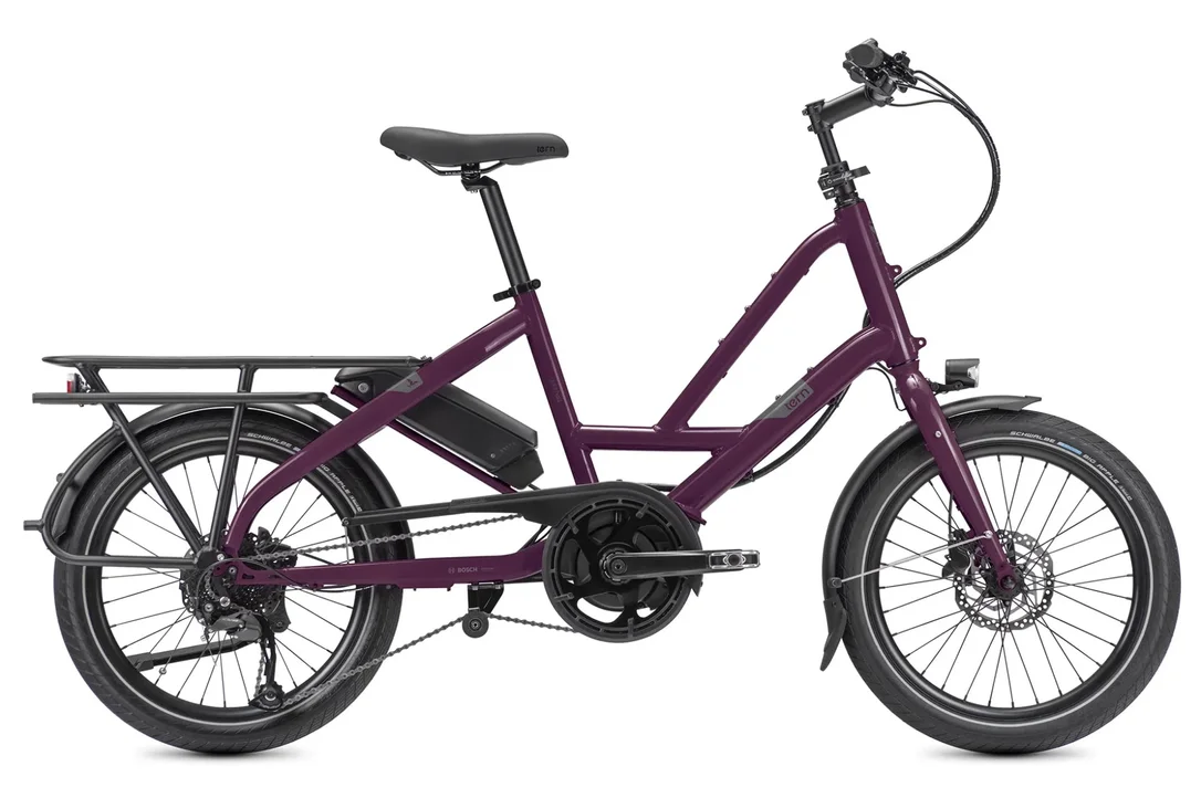 seattleelectricbike1220811