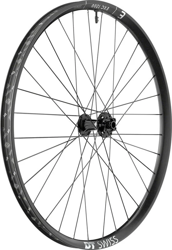 seattleelectricbike1222903