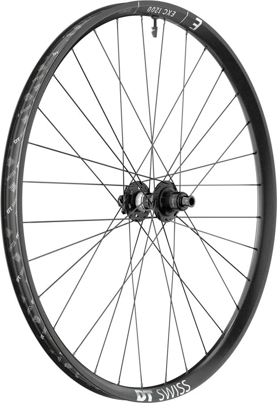 seattleelectricbike1222908