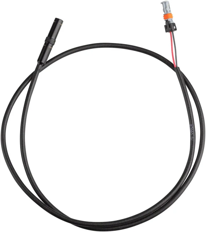seattleelectricbike1245157