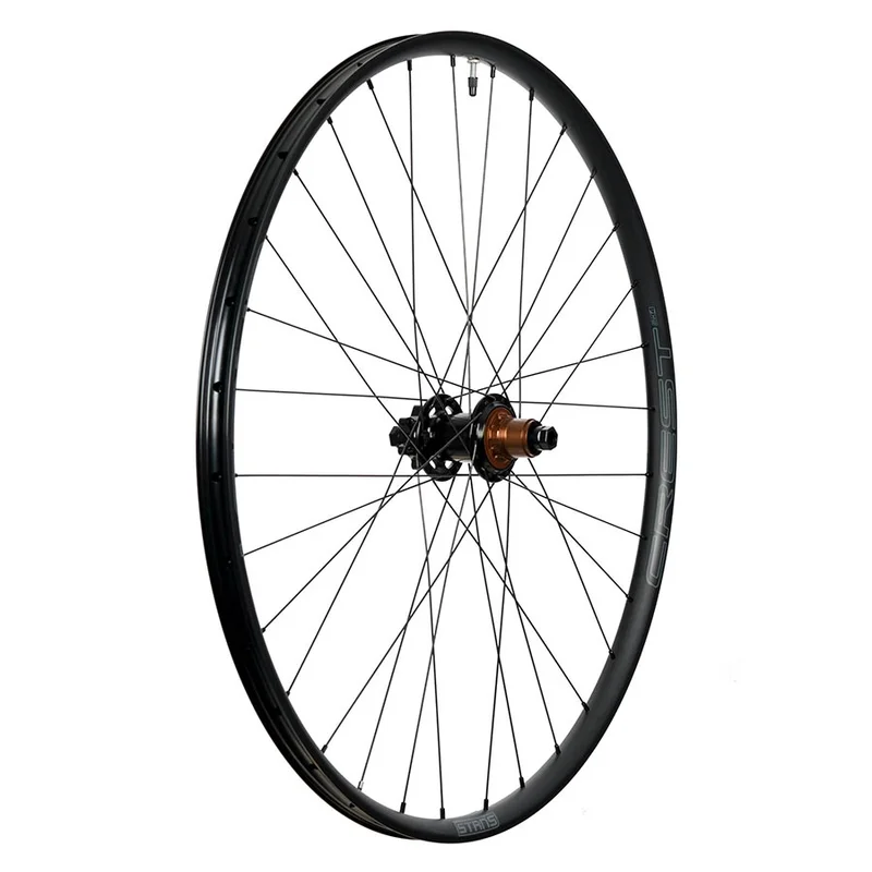 seattleelectricbike1256094
