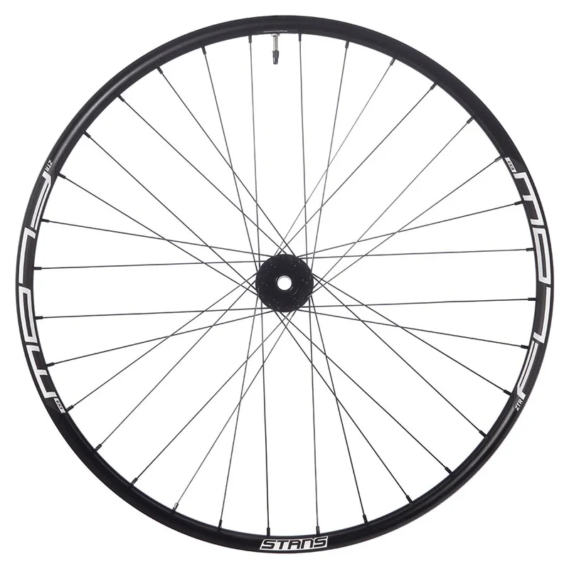 seattleelectricbike1256147