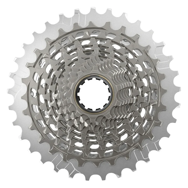seattleelectricbike1368398