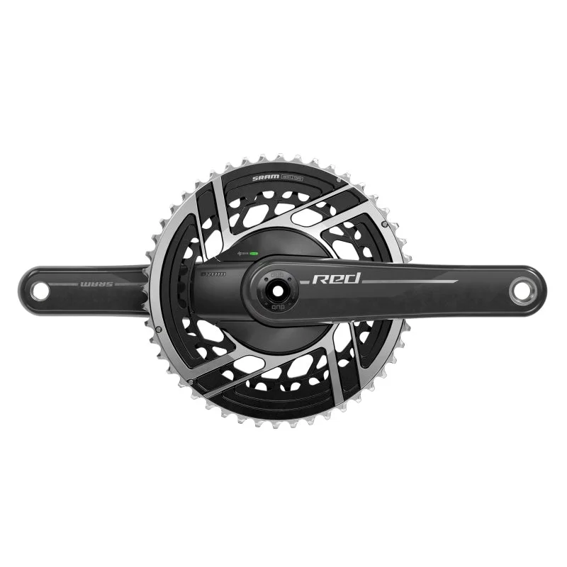 seattleelectricbike2222031