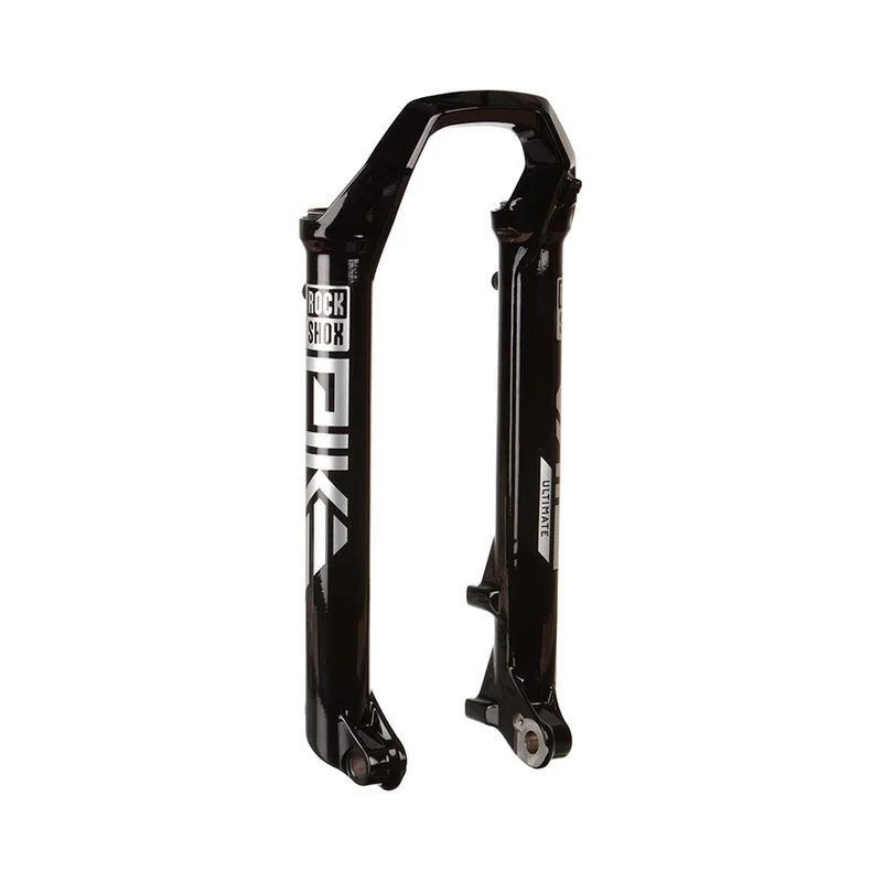 seattleelectricbike2228654