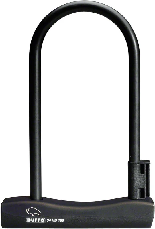 seattleelectricbike2366584