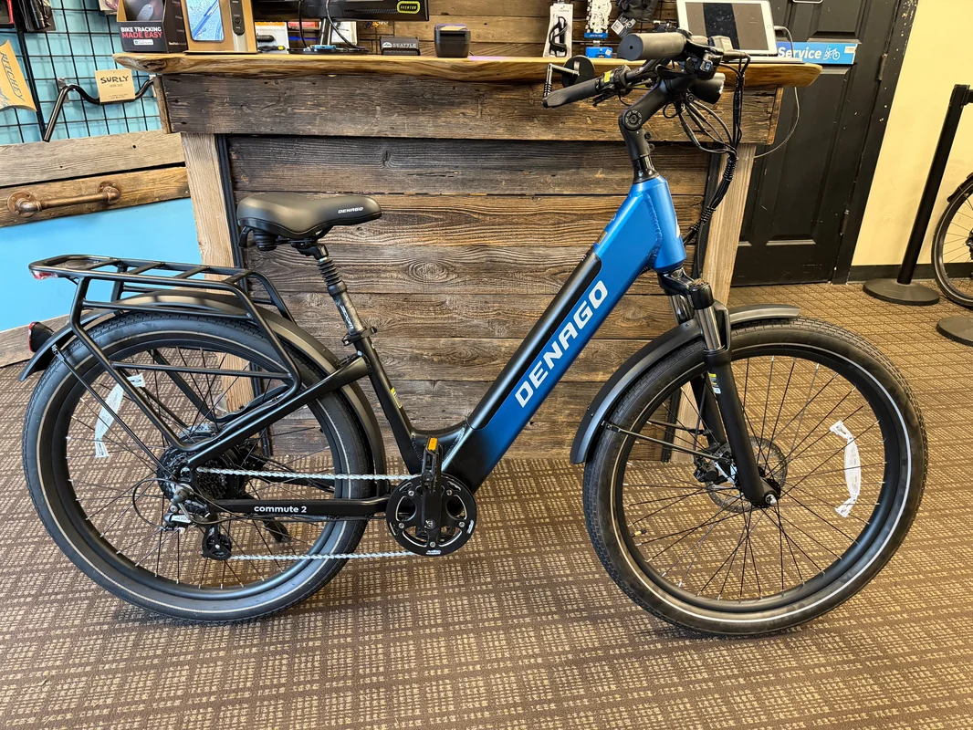 seattleelectricbike3261904