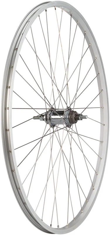 seattleelectricbike4254648