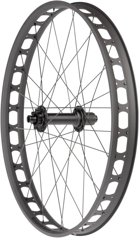 seattleelectricbike4256538