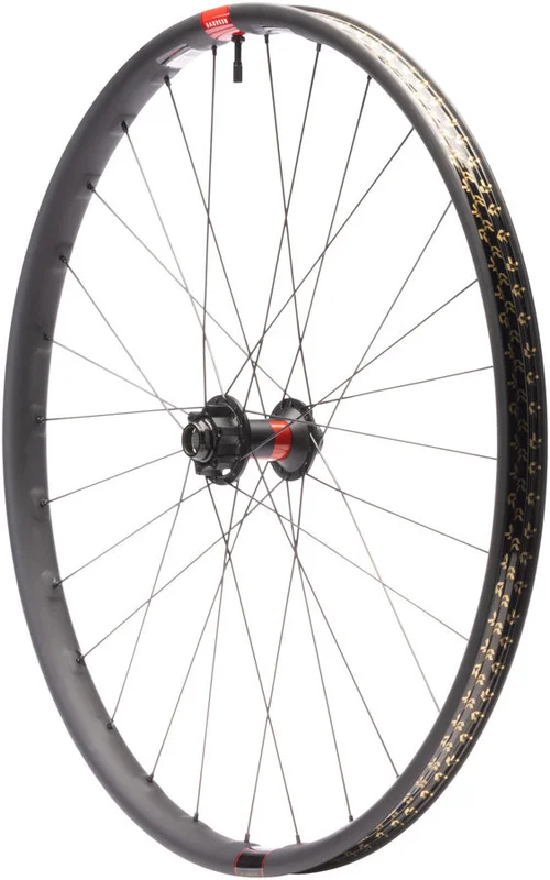 seattleelectricbike4257125