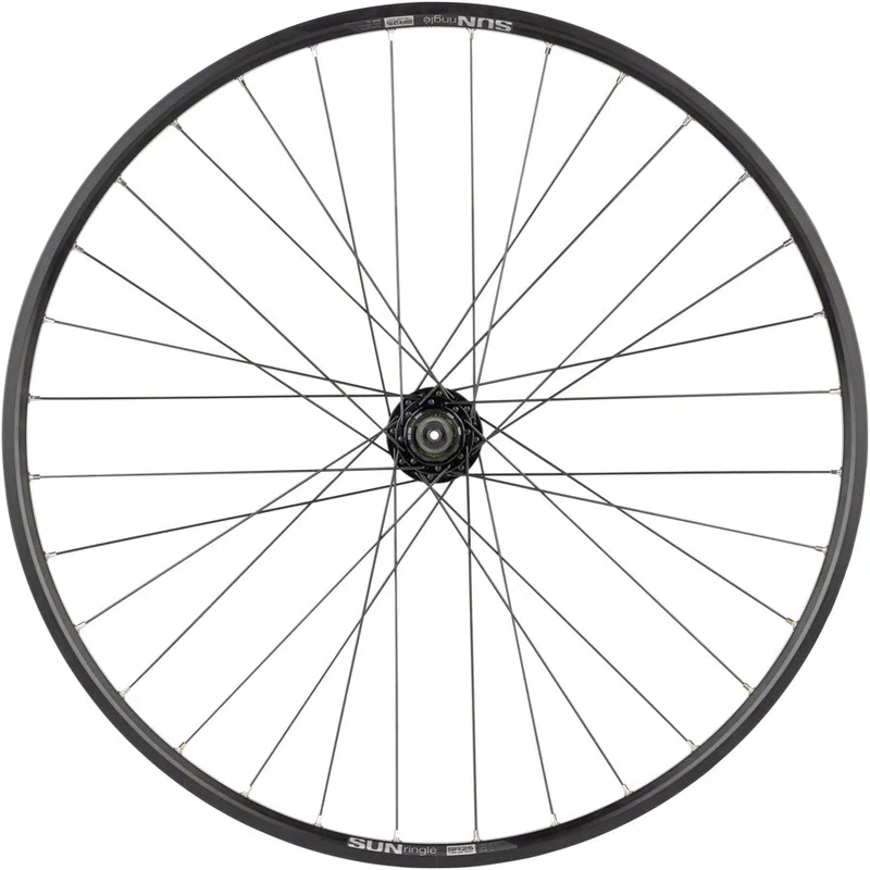 seattleelectricbike4257449