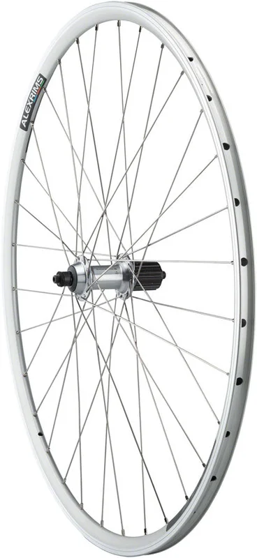 seattleelectricbike4261947