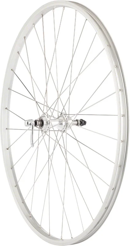 seattleelectricbike4262412