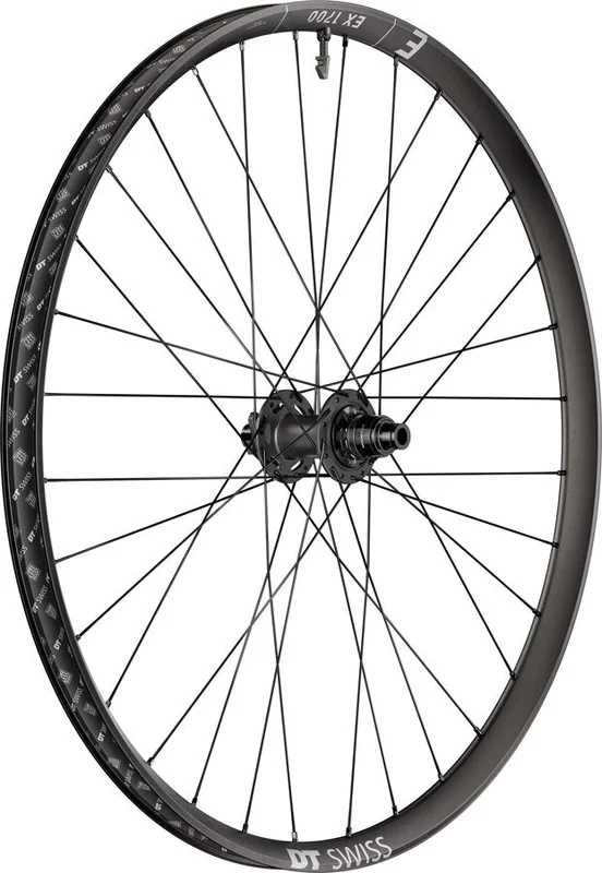 seattleelectricbike4284487