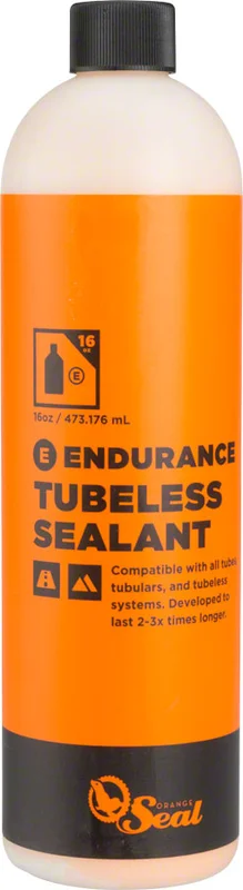 seattleelectricbike4285452