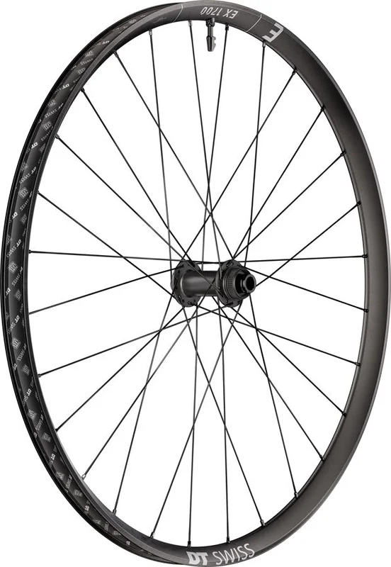 seattleelectricbike4285832