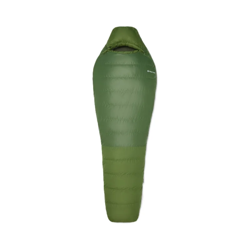 spokex2296419
