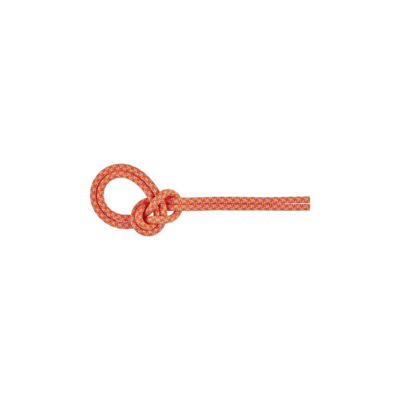 spokex2372237