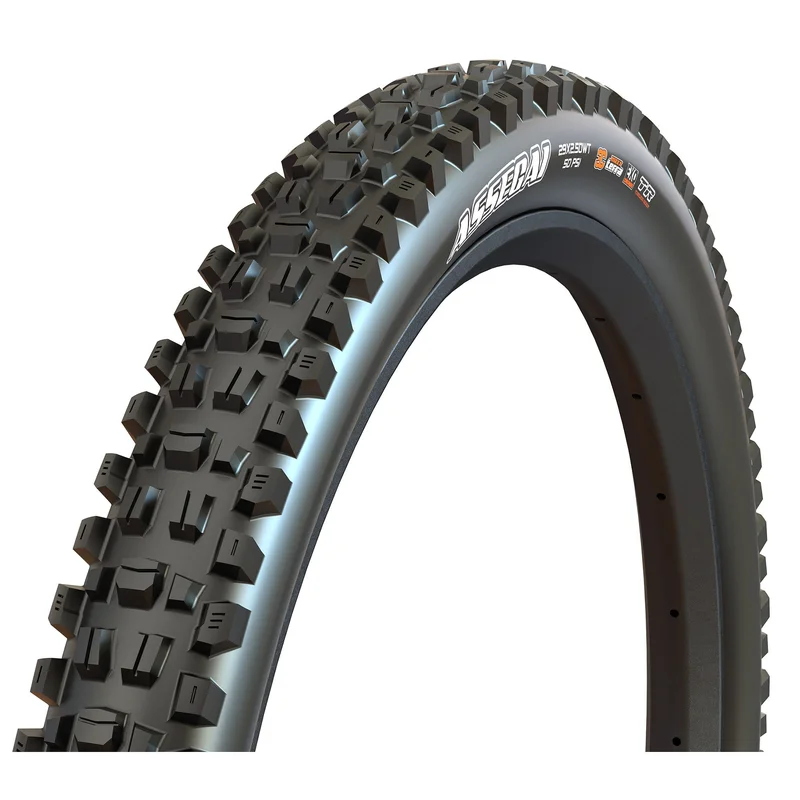 trekbikesflorida1171614