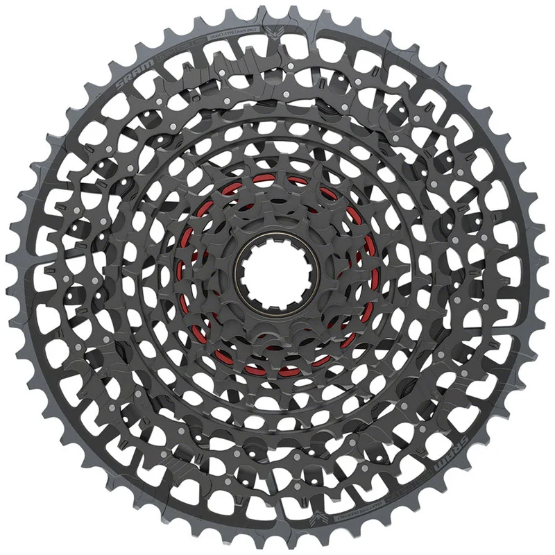 trekbikesflorida1173848