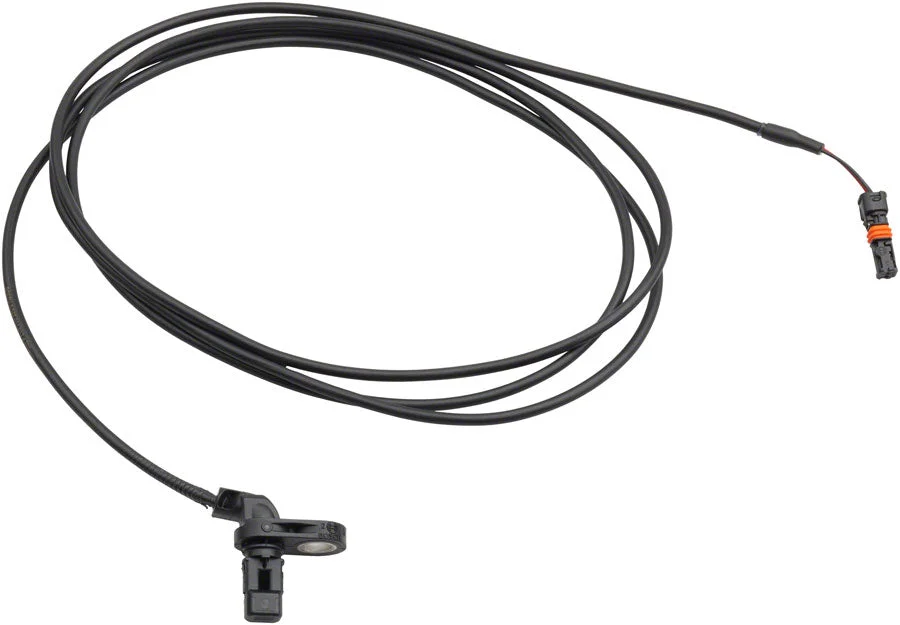 trekbikesflorida1179317