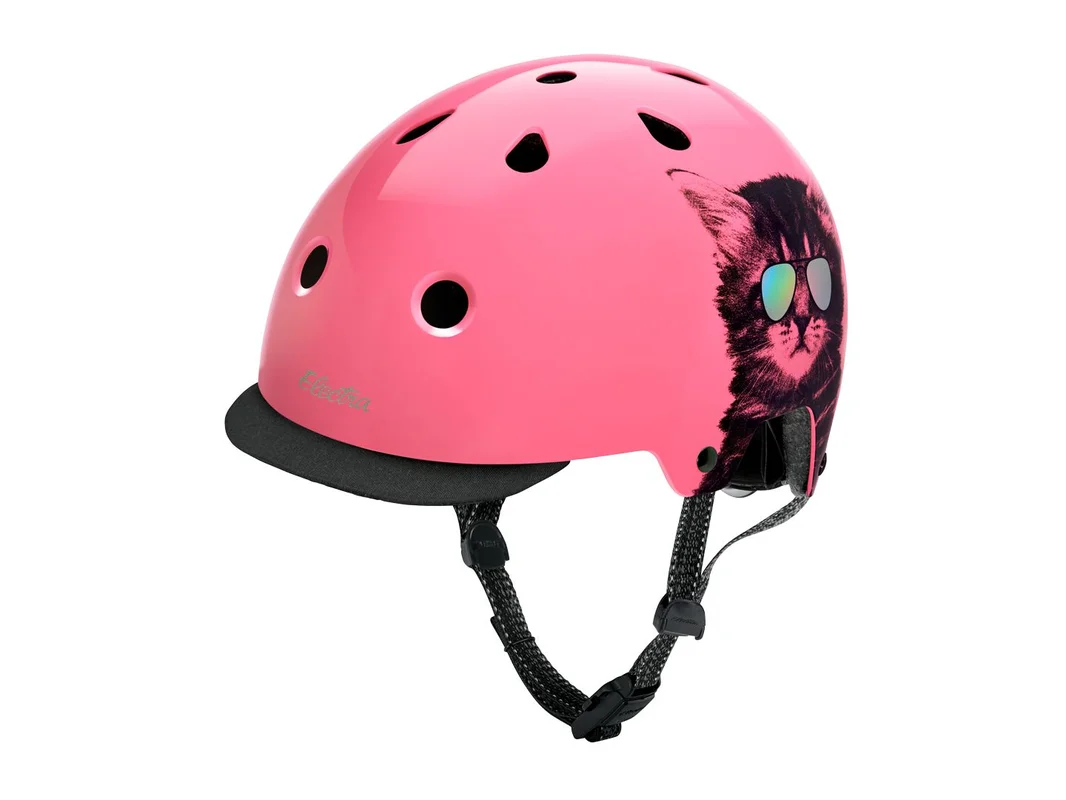 trekbikesflorida4195965