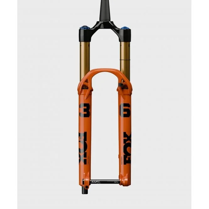 tritoncycles-399101